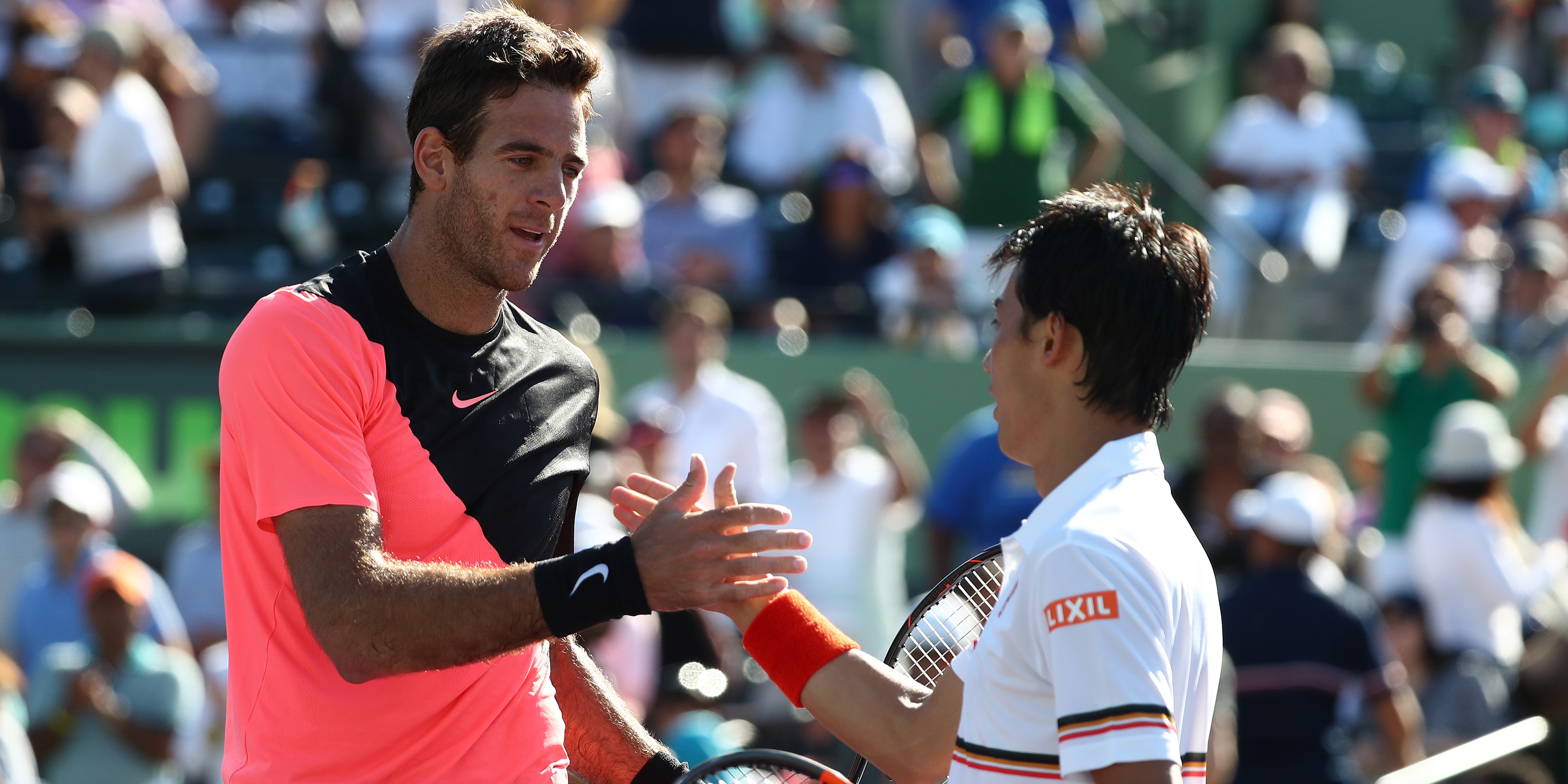 Del Potro, Nishikori, Handshake, bwin