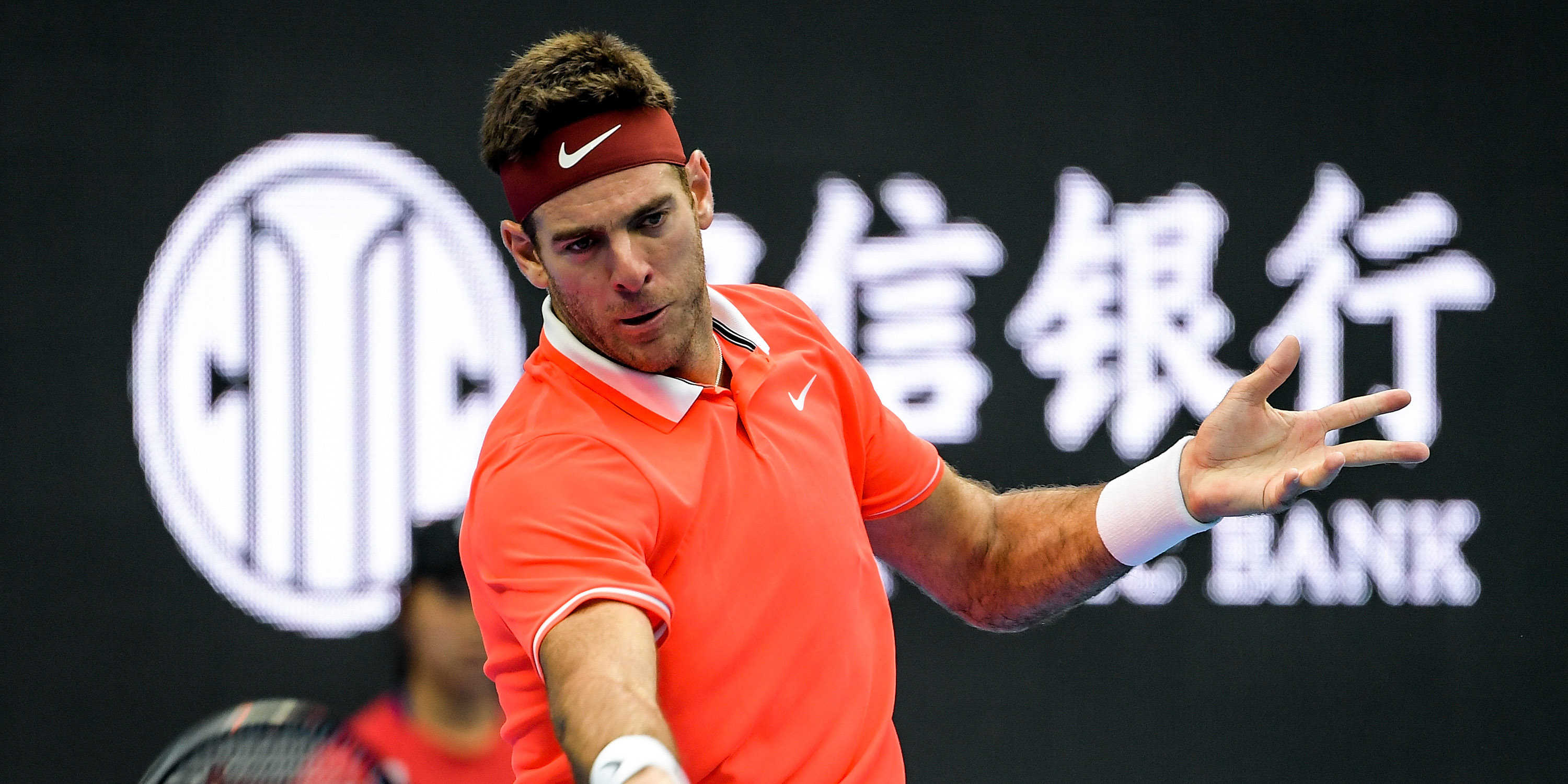 Juan Martin del Potro